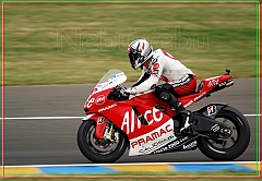 2008_MOTO_GP_028 [800x600]